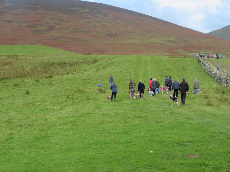 United Kingdom England Lake District, Skiddaw, Trailhound race, Walkopedia