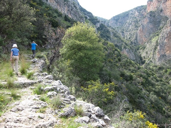 Greece Peloponnese: Taygetus range and the Mani, Tracks to Anavriti/ Soha/ Phaneromeni, , Walkopedia