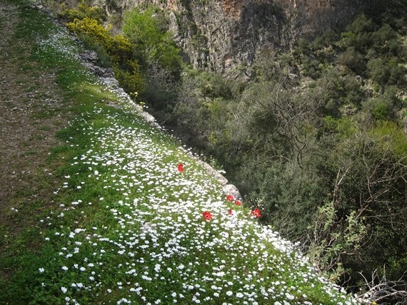 Greece Peloponnese: Taygetus range and the Mani, Tracks to Anavriti/ Soha/ Phaneromeni, , Walkopedia