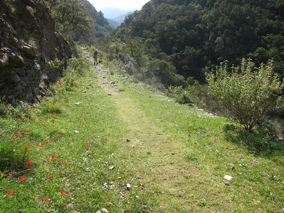 Greece Peloponnese: Taygetus range and the Mani, Tracks to Anavriti/ Soha/ Phaneromeni, , Walkopedia