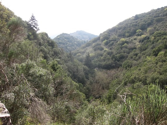 Greece Peloponnese: Taygetus range and the Mani, Tracks to Anavriti/ Soha/ Phaneromeni, , Walkopedia