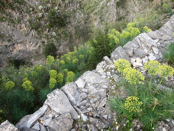 Greece Peloponnese: Taygetus range and the Mani, Tracks to Anavriti/ Soha/ Phaneromeni, Down into the Gorge, Walkopedia