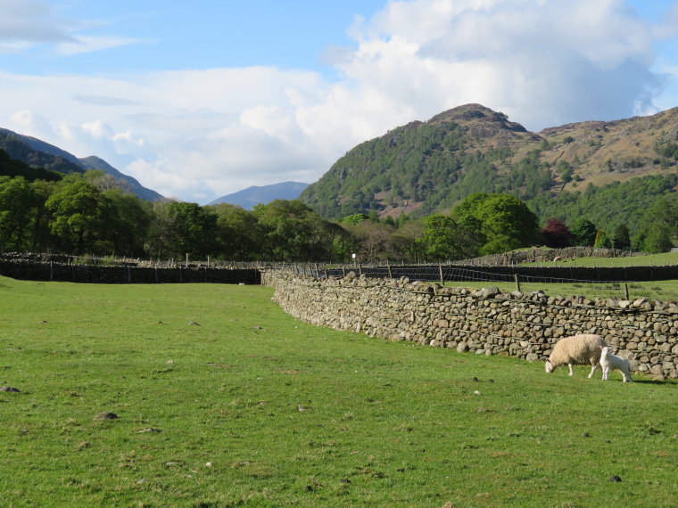 United Kingdom England Lake District, Cumbria Way and High Way, Borrowdale, Walkopedia