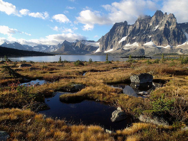 Canada Alberta: Jasper NP, Tonquin Valley, Tonquin 6 , Walkopedia