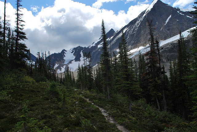 Canada Alberta: Jasper NP, Eremite Valley, , Walkopedia