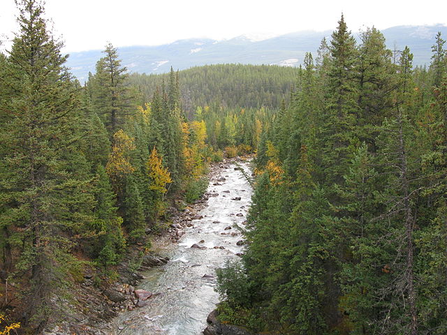 Canada Alberta: Jasper NP, Astoria River Valley, Astoria River Valleys , Walkopedia