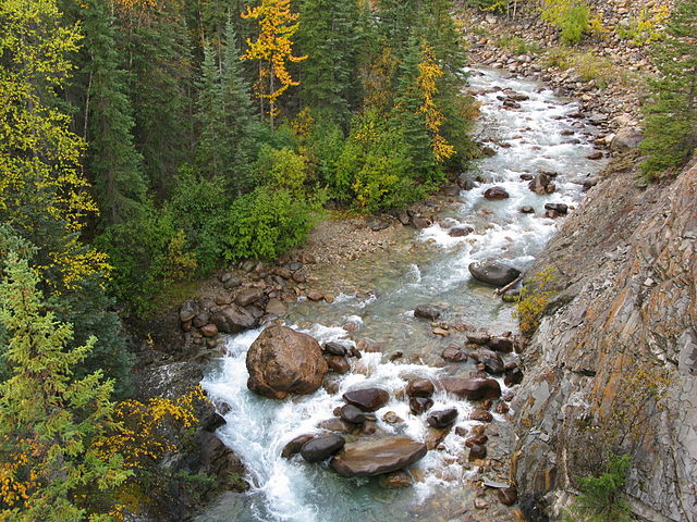 Canada Alberta: Jasper NP, Astoria River Valley, Astoria River Valleys , Walkopedia