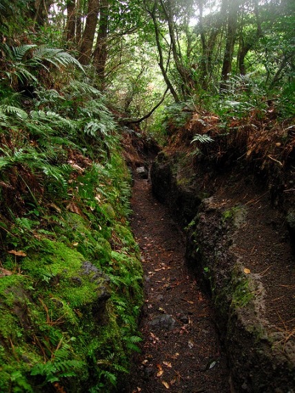 Japan Kyushu, Mount Kaimon, Trail up Mount Kaimon, Walkopedia