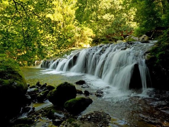 Japan Tokyo Region: Izu Peninsula, Izu Peninsula, Izu Waterfall Kawazu, Walkopedia