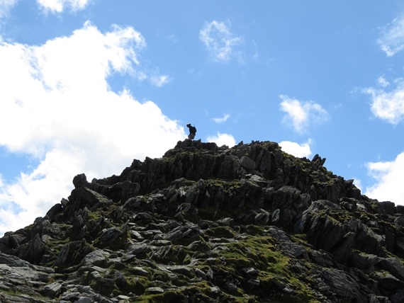 United Kingdom England Lake District, Helvellyn and Striding Edge, On Striding Edge, Walkopedia