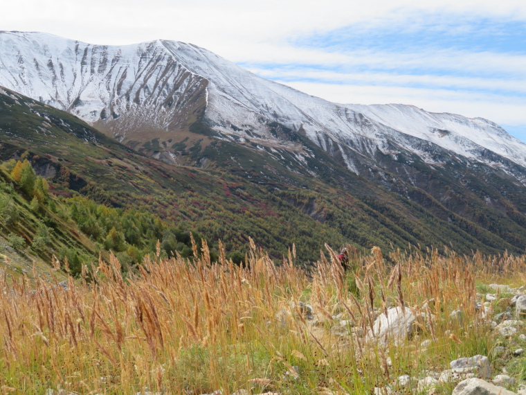 Georgia Gt Caucasus Mts, Greater Caucasus Mountains, , Walkopedia