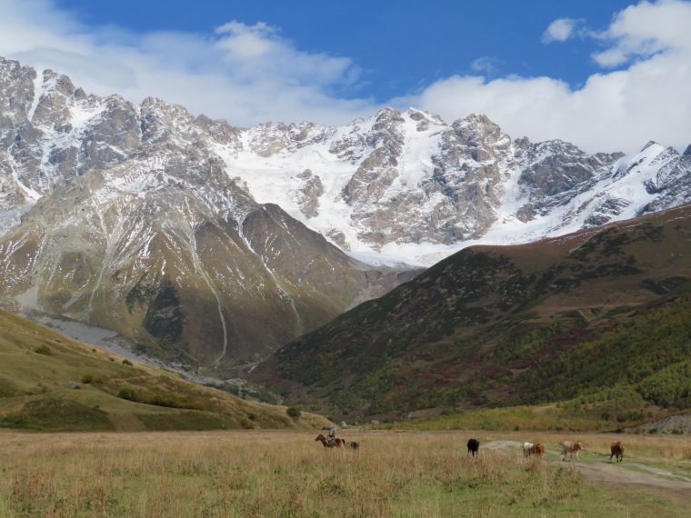 Georgia Gt Caucasus Mts, Greater Caucasus Mountains, Herdsman, upper Engeri valley, Walkopedia