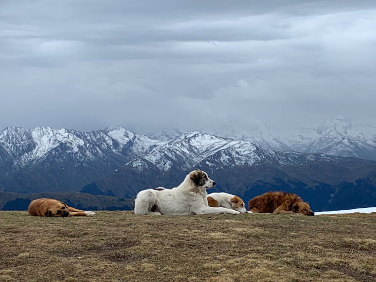 Greater Caucasus Mountains: Koruldi Lakes - © c Jessica Speare-Cole