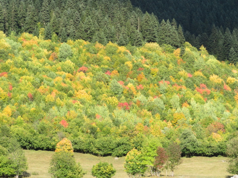 Georgia Gt Caucasus Mts, Greater Caucasus Mountains, Late Sept colours, above Mestia, Walkopedia