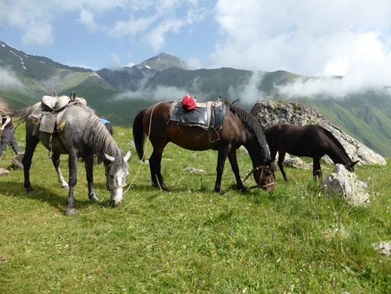 Georgia Gt Caucasus Mts, Greater Caucasus Mountains, , Walkopedia