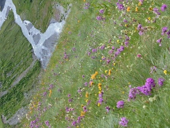 Georgia Gt Caucasus Mts, Greater Caucasus Mountains, , Walkopedia