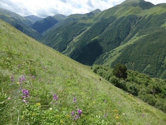 Georgia Gt Caucasus Mts, Greater Caucasus Mountains, Track to Atsunta Pass, Walkopedia