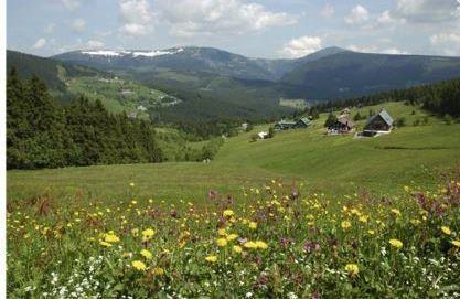 Czech Republic, Giant Mountains, Spring, Walkopedia