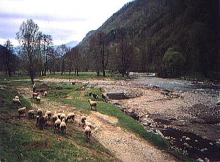 Bulgaria, Stara Planina, Oranginas Bela Vit River, Walkopedia