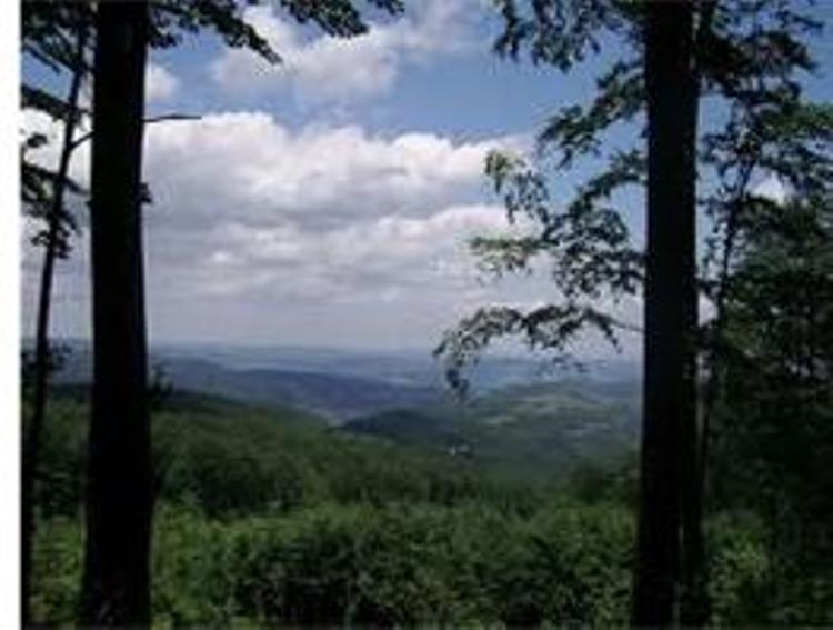 Bulgaria, Stara Planina, Oranginas Sipkovo, Walkopedia