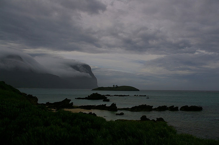 Australia, Lord Howe Island, Lord Howe Island Cloud Forest, From Flickr user Percita, Walkopedia