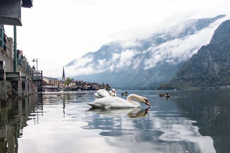 Austria The Dachstein, Soleleitungsweg/Hallstatter See, , Walkopedia