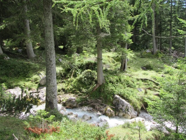 Austria The Dachstein, Pennerweg, , Walkopedia