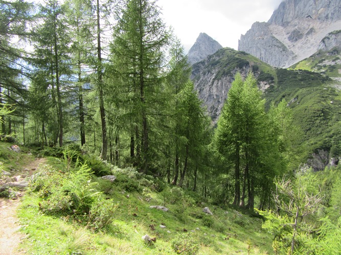 Austria The Dachstein, Pennerweg, , Walkopedia