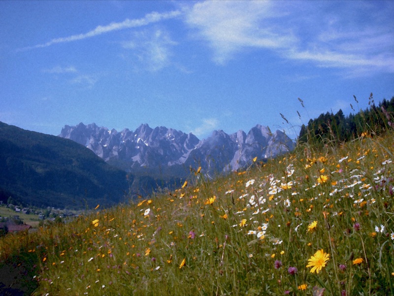 Austria The Dachstein, Gosaukamm Circuit, , Walkopedia