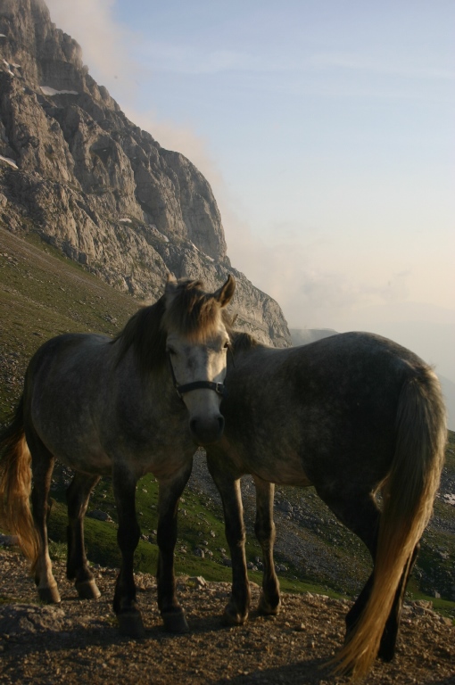 Greece, Pindos/Vikos Circuit, , Walkopedia