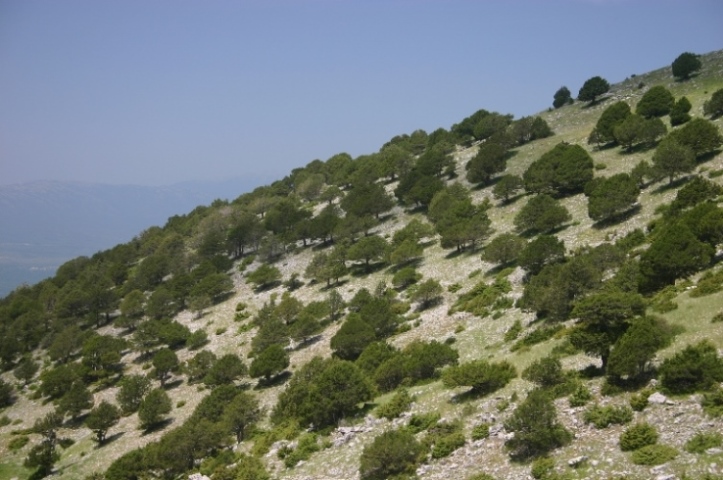 , Pindos/Vikos Circuit, , Walkopedia