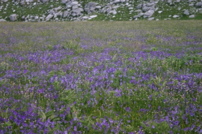 , Pindos/Vikos Circuit, , Walkopedia