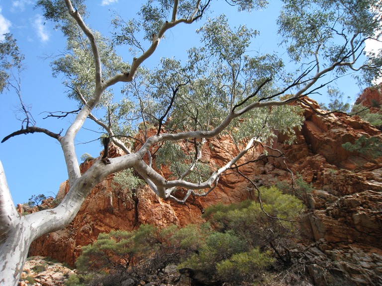 Australia Northern Territory, Larapinta Trail, , Walkopedia