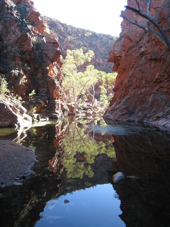 Australia Northern Territory, Larapinta Trail, Serpentine Gorge, Walkopedia