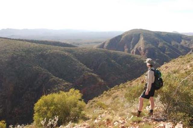 Australia Northern Territory, Larapinta Trail, Ridge of Counts Point, Walkopedia