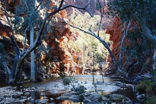 Australia Northern Territory, Larapinta Trail, Serpentine Gorge, Walkopedia