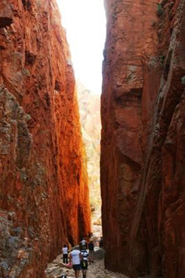 Australia Northern Territory, Larapinta Trail, Standley Chasm, Walkopedia