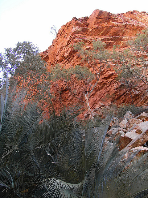 Australia Northern Territory, Larapinta Trail, Larapinta Trail, Walkopedia