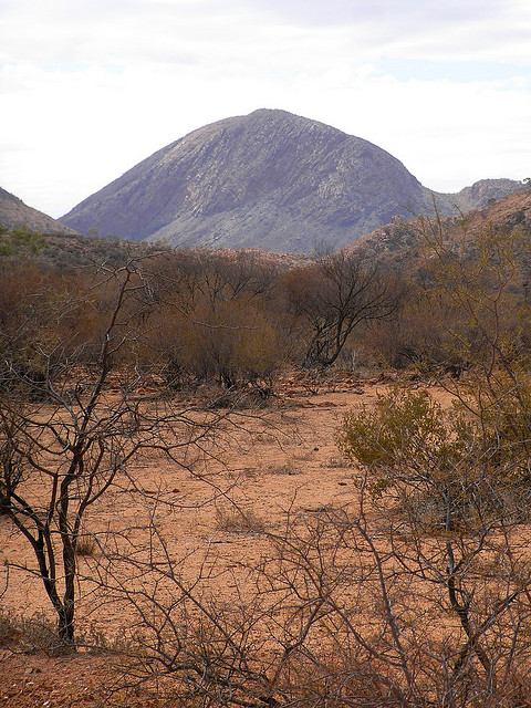 Australia Northern Territory, Larapinta Trail, Larapinta Trail, Walkopedia