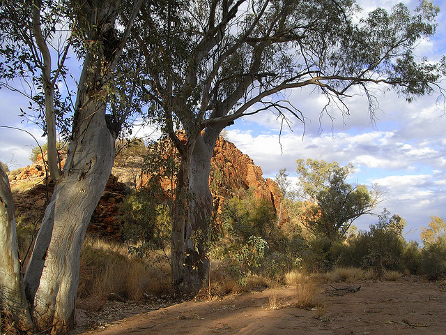 Australia Northern Territory, Larapinta Trail, Larapinta Trail, Walkopedia