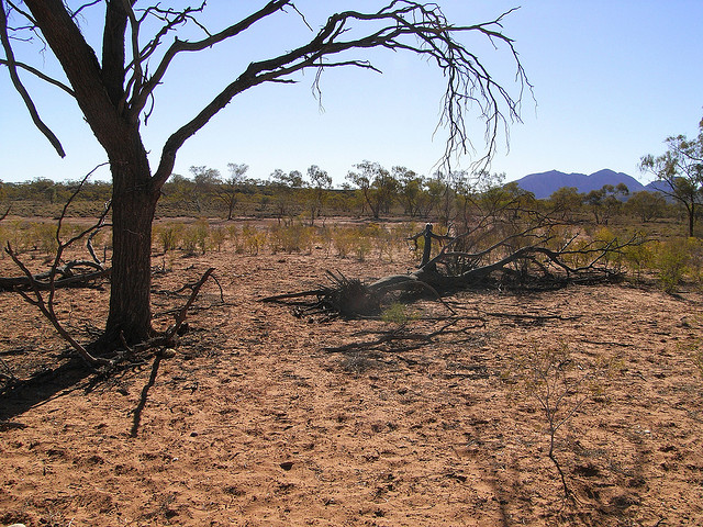 Australia Northern Territory, Larapinta Trail, Larapinta Trail, Walkopedia