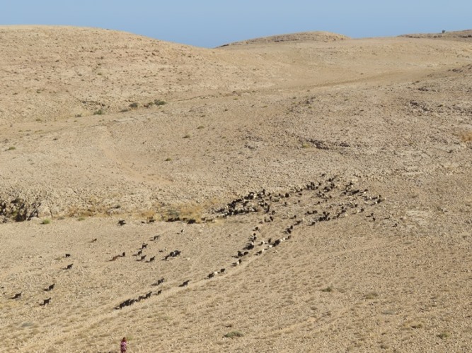 Oman Eastern Hajar Mountains, Across the Selma Pateau (E35), Biblical scene, Walkopedia