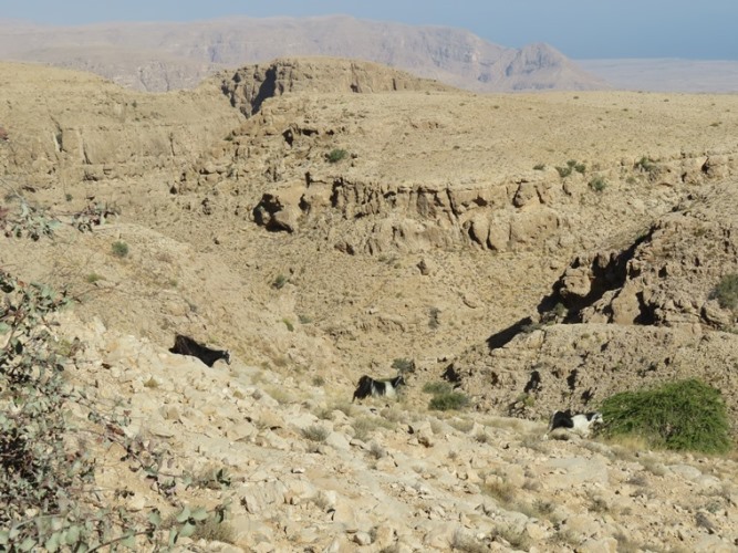 Oman Eastern Hajar Mountains, Across the Selma Pateau (E35), , Walkopedia