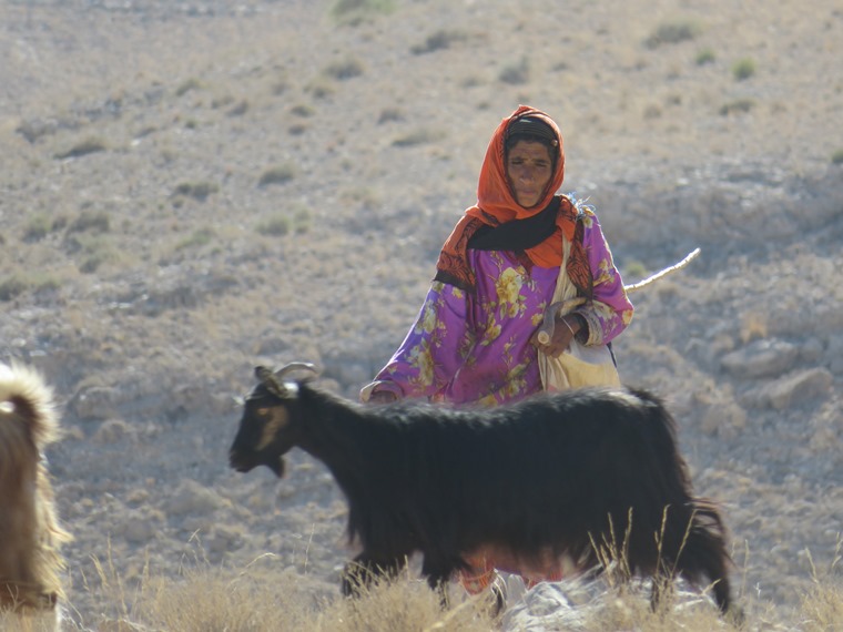 Oman Eastern Hajar Mountains, Across the Selma Pateau (E35), Goatherdess, Walkopedia