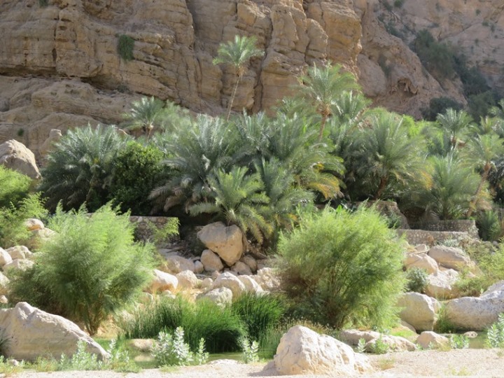 Oman Eastern Hajar Mountains, Across the Selma Pateau (E35), , Walkopedia