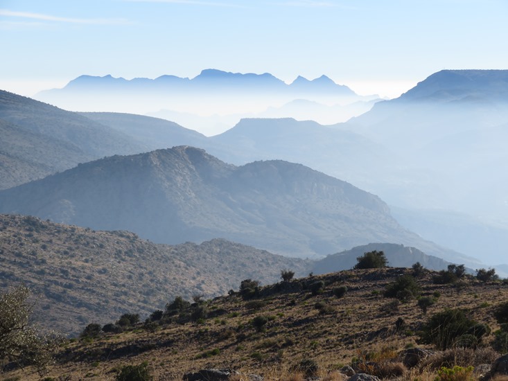 Oman Western Hajar Mts: Jebel Akhdar, Jebel Akhdar, Eastward from above Qiyut, early morning, Walkopedia