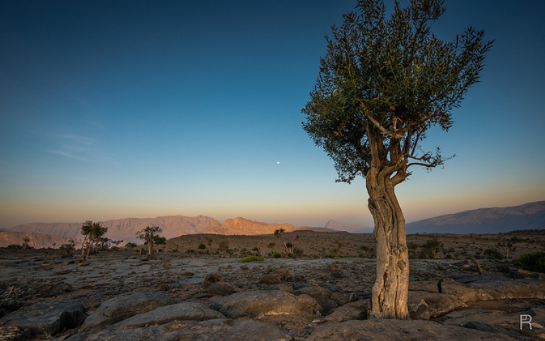 Western Hajar Mountains: Jebel Shams  - © flickr user Peter Rivera