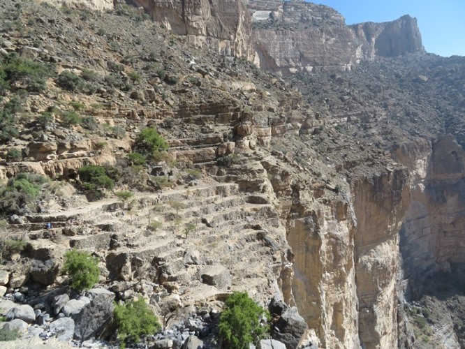 Oman Western Hajar Mts: Jebel Akhdar, Balcony Walk, Wadi Nakhur, The abandoned village's terrace, Walkopedia