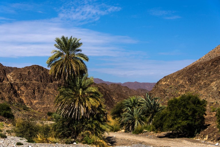 Oman Western Hajar Mts: Jebel Akhdar, Central Akhdar routes W8, W9, W10, On the way to Balad Sayt, Walkopedia