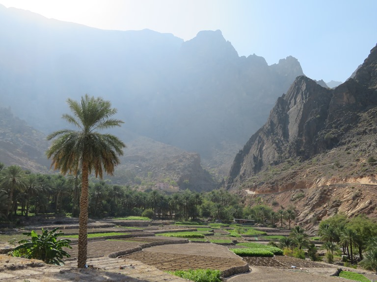 Oman Western Hajar Mts: Jebel Akhdar, Central Akhdar routes W8, W9, W10, Balad Sayt fields, high Akhdar behind, Walkopedia